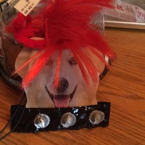 Dog costume